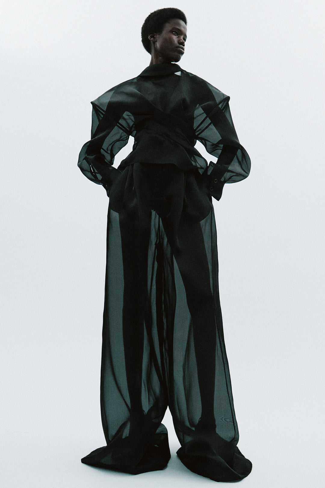 Organza Wide Leg Pants Black